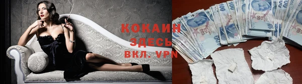 дживик Аркадак