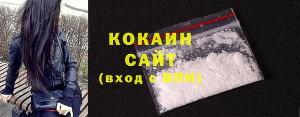 дживик Аркадак