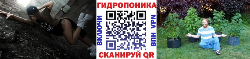 Конопля SATIVA & INDICA  Волгодонск 